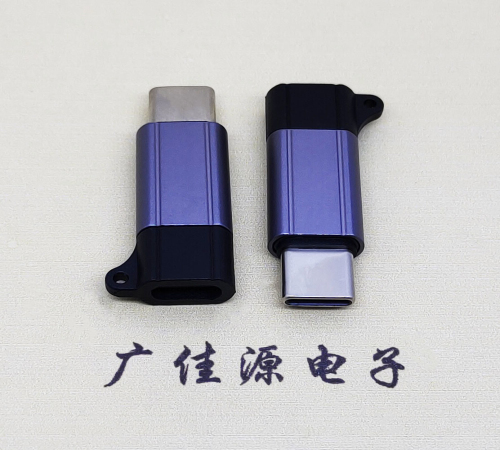 防城港Type-C母转Type-C公 USB3.1 PD100W快冲接口